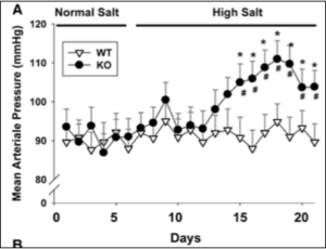BJN 59 - Fig 2