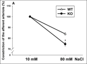 BJN 59 - Fig1