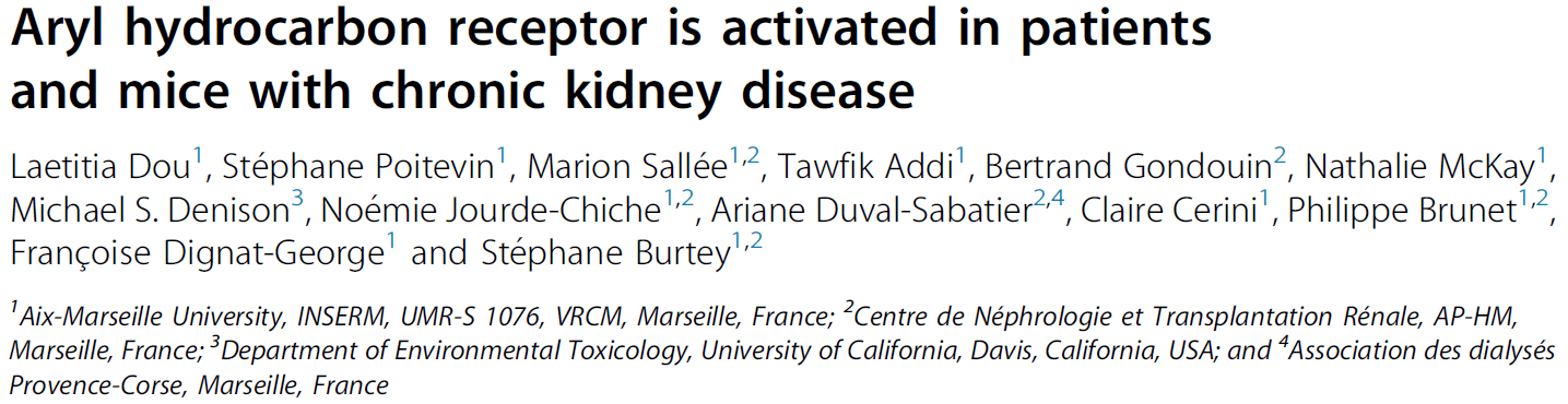 Aryl hydrocarbon receptor est activé chez les patients et les souris avec une maladie rénale chronique.