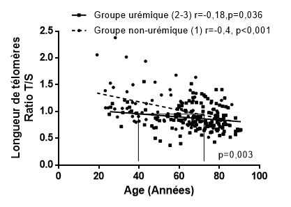 Longueur télomères